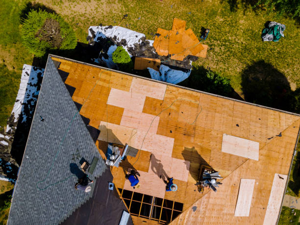 Best Roofing Contractor Near Me  in Moweaqua, IL