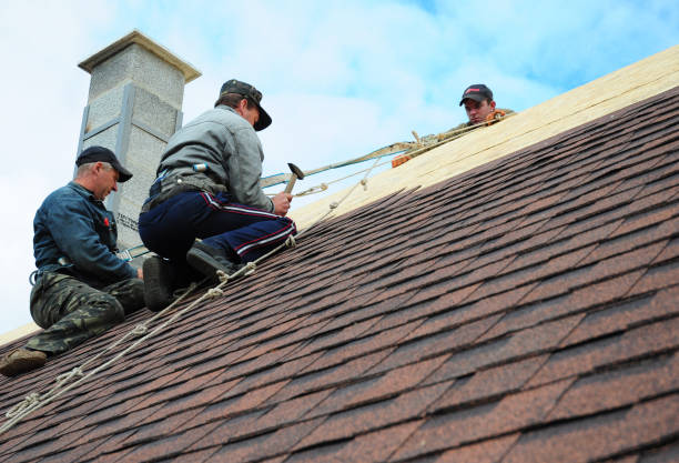 Quick and Trustworthy Emergency Roof Repair Services in Moweaqua, IL