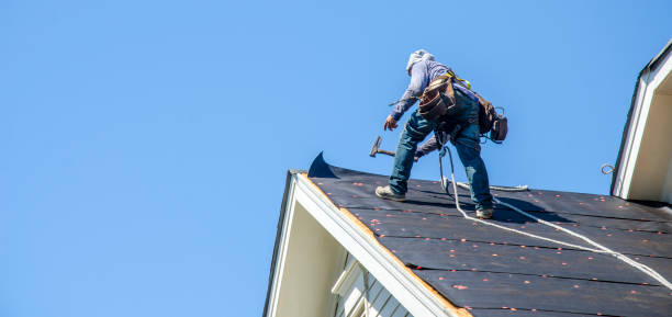 Best Roof Maintenance Services  in Moweaqua, IL
